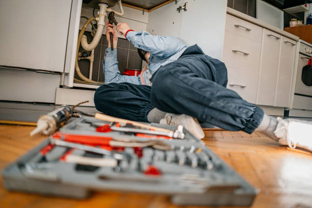 Best Commercial Plumbing Services  in Saline, MI